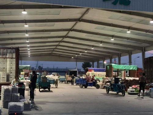 中貿(mào)農(nóng)產(chǎn)品綜合批發(fā)市場 從基地到市場,蔬菜區(qū)一站式采購每日參考價